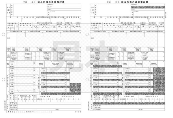 画像2: PA1133G100R07源泉徴収票100人用　PCA(ピーシーエー）給与/給与じまん　令和8年1月提出用 (2)