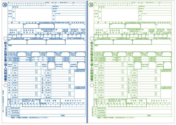 画像4: 202621弥生給与年末調整セット50名用　令和7年1月提出用 弥生給与25やよいの給与計算25 (4)
